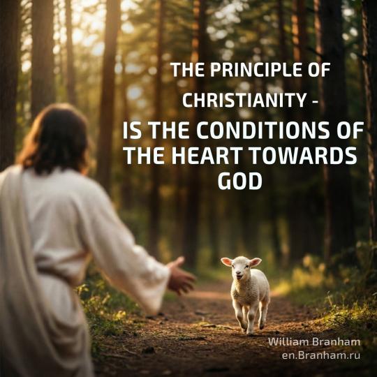 Картинка цитаты